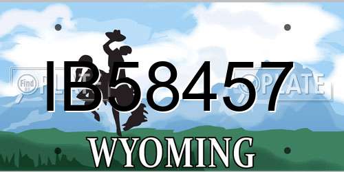 IB58457 Wyoming License Plate