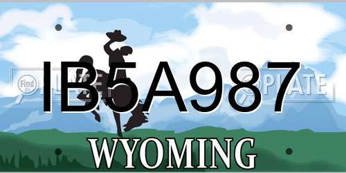 IB5A987 Wyoming License Plate