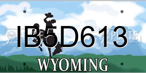 IB5D613 Wyoming License Plate
