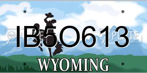 IB5O613 Wyoming License Plate