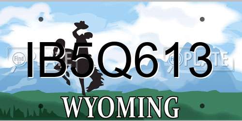IB5Q613 Wyoming License Plate