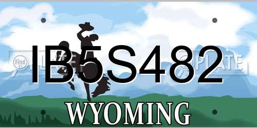 IB5S482 Wyoming License Plate