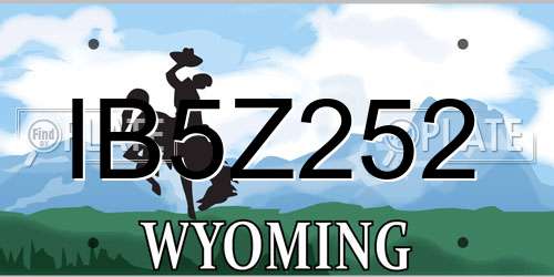 IB5Z252 Wyoming License Plate