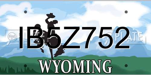 IB5Z752 Wyoming License Plate