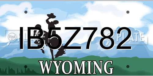 IB5Z782 Wyoming License Plate