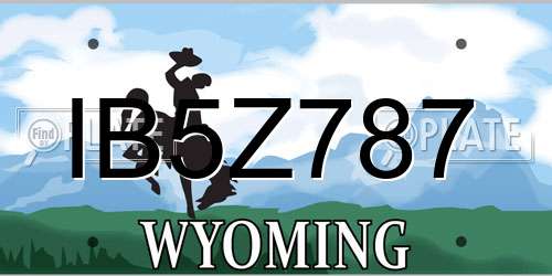IB5Z787 Wyoming License Plate