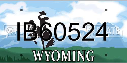 IB60524 Wyoming License Plate
