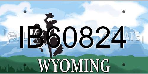IB60824 Wyoming License Plate