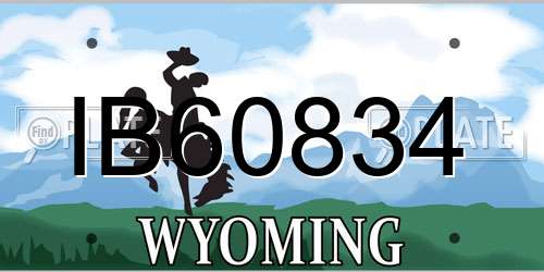 IB60834 Wyoming License Plate