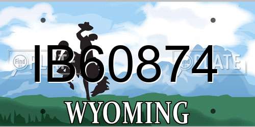 IB60874 Wyoming License Plate