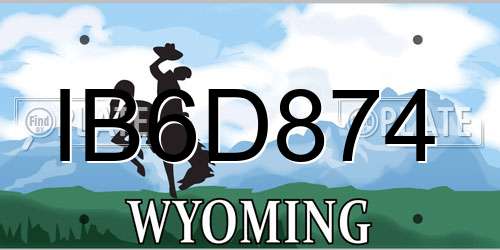IB6D874 Wyoming License Plate