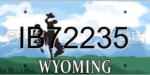 IB72235 Wyoming License Plate