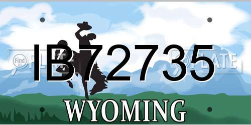 IB72735 Wyoming License Plate