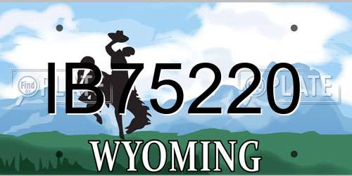 IB75220 Wyoming License Plate