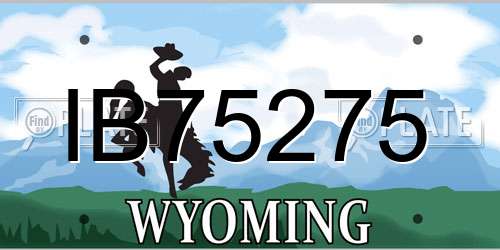 IB75275 Wyoming License Plate