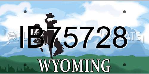 IB75728 Wyoming License Plate