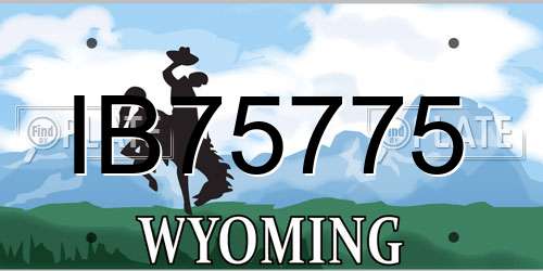 IB75775 Wyoming License Plate