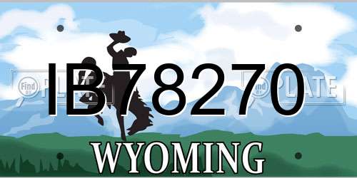 IB78270 Wyoming License Plate