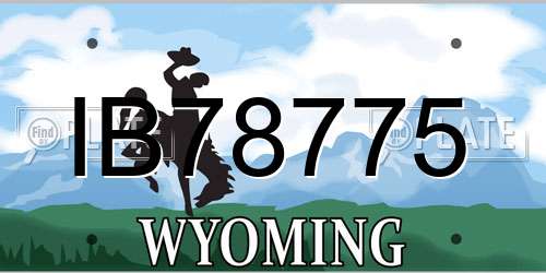 IB78775 Wyoming License Plate