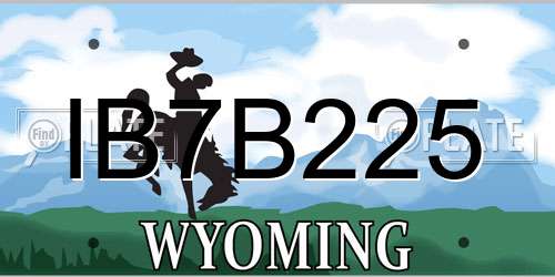 IB7B225 Wyoming License Plate