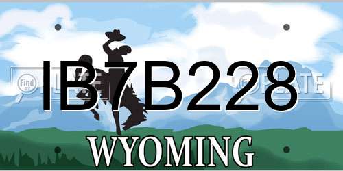 IB7B228 Wyoming License Plate