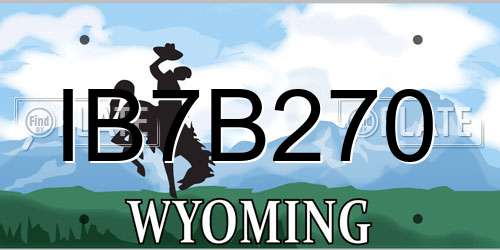 IB7B270 Wyoming License Plate