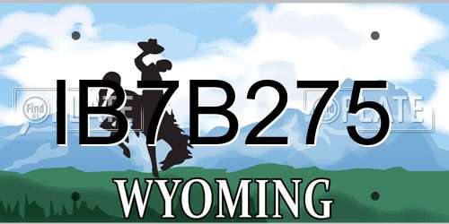 IB7B275 Wyoming License Plate