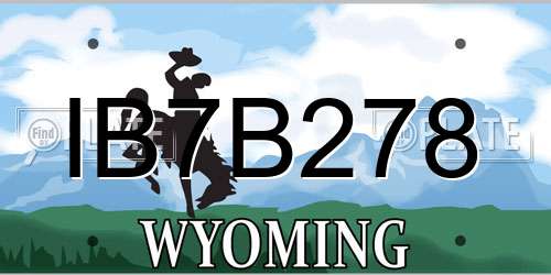 IB7B278 Wyoming License Plate