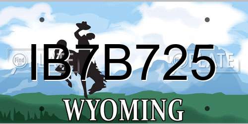 IB7B725 Wyoming License Plate