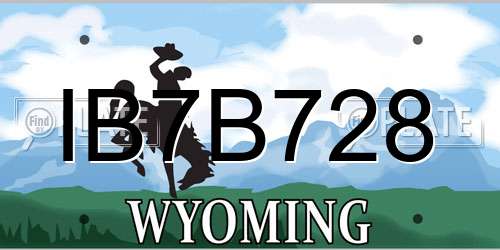 IB7B728 Wyoming License Plate