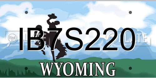 IB7S220 Wyoming License Plate