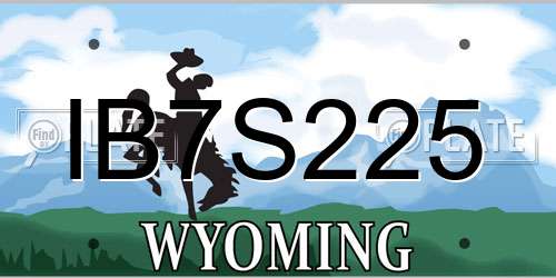 IB7S225 Wyoming License Plate