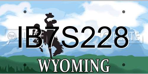 IB7S228 Wyoming License Plate