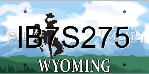 IB7S275 Wyoming License Plate