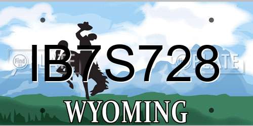 IB7S728 Wyoming License Plate