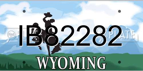 IB82282 Wyoming License Plate