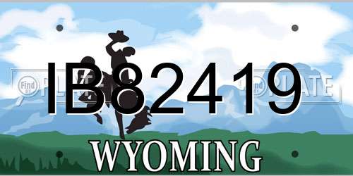 IB82419 Wyoming License Plate