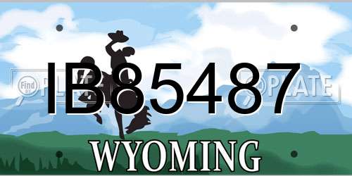 IB85487 Wyoming License Plate