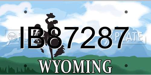 IB87287 Wyoming License Plate