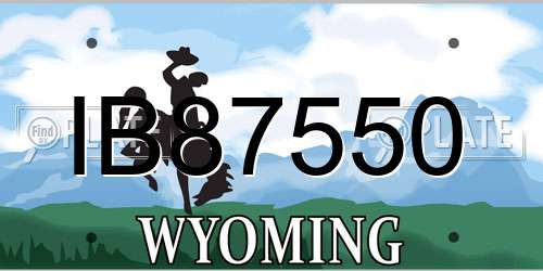 IB87550 Wyoming License Plate