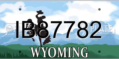 IB87782 Wyoming License Plate