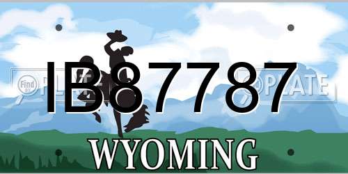 IB87787 Wyoming License Plate