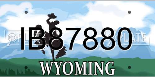IB87880 Wyoming License Plate