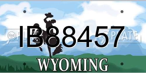 IB88457 Wyoming License Plate