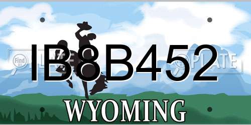 IB8B452 Wyoming License Plate
