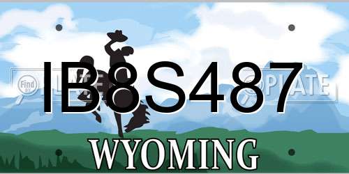 IB8S487 Wyoming License Plate