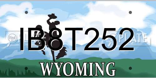 IB8T252 Wyoming License Plate