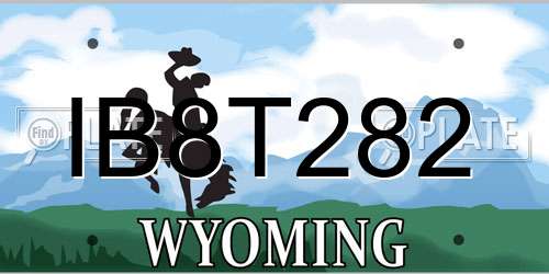 IB8T282 Wyoming License Plate