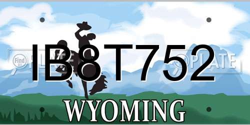 IB8T752 Wyoming License Plate