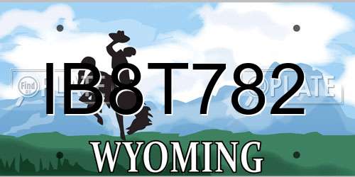 IB8T782 Wyoming License Plate